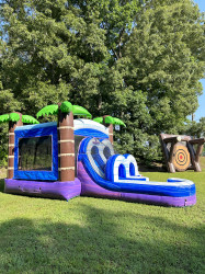 IMG 3791 1720498656 Tropical Combo (Water Slide)