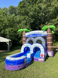 IMG 3792 1720498655 Tropical Combo (Water Slide)