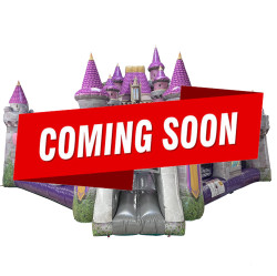 Disney Princess Castle Playland