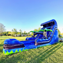 18ft Double Palm Dual Lane (Water Slide) IMG 2857 1720491066 18ft Double Palm Dual Lane (Water Slide)